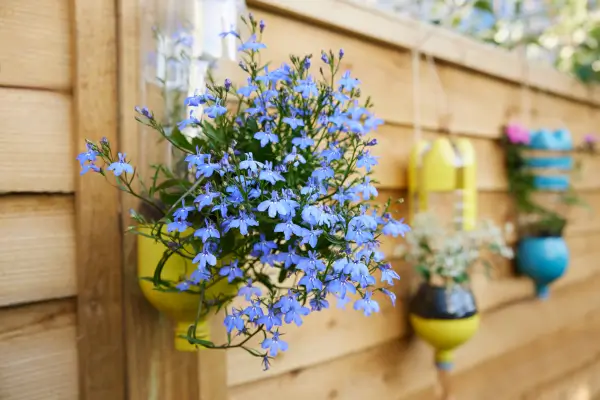 Ideias criativas para reutilizar garrafas PET na decoração de casa e jardim