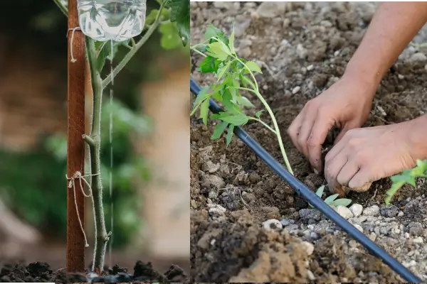 Passo a Passo para Criar um Sistema de Irrigação Caseiro com Materiais Recicláveis