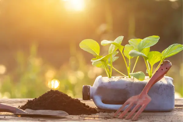 Como Criar Recipientes de Horta Usando Embalagens de Plástico