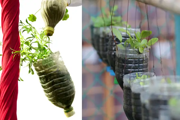 Horta Vertical Sustentável: Como Criar Suportes de Garrafa PET para Suas Plantas